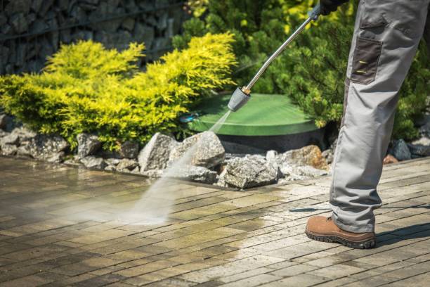 Best Pool Deck Cleaning in Afton, MN