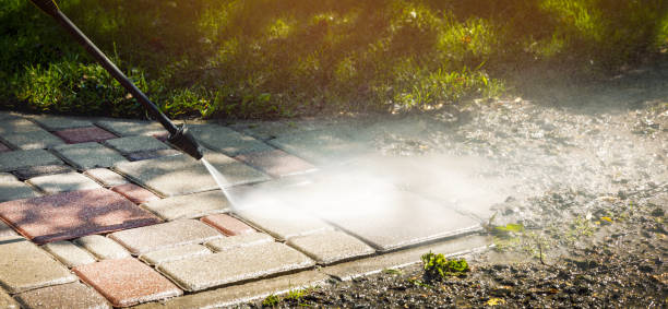 Best Driveway Cleaning and Restoration in Afton, MN