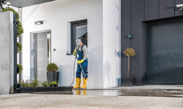Best Soft Washing for Delicate Surfaces in Afton, MN